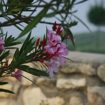Gutshof Rebblute Bed & Breakfast