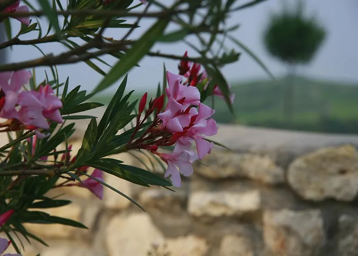 Gutshof Rebblute Bed & Breakfast